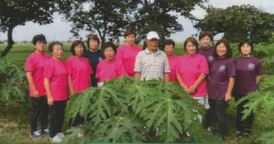 下内川パパイヤの里づくりの会の活動の様子