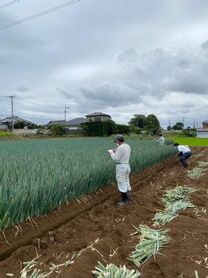 夏ねぎ企業訪問