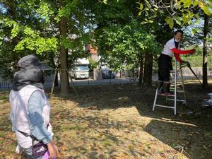 関公園トイレ改修の様子