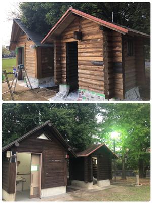 トイレの塗装の変化