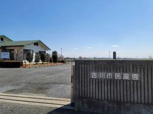 市民農園視察の様子