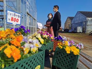 西山園芸内の様子