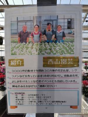 西山園芸内の様子
