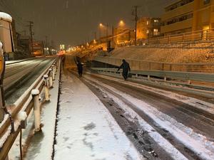 積雪の様子