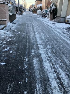 降雪の翌日の様子