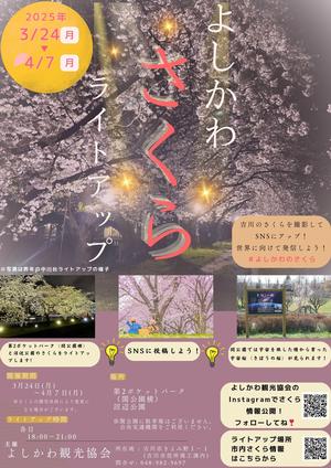 さくらライトアップ当日のチラシ