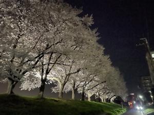 昨年の様子