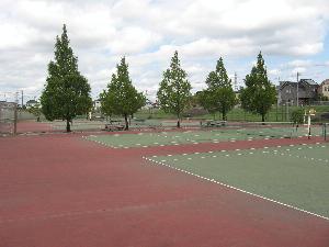 吉川運動公園テニスコートの写真