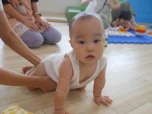 カメラ目線でハイハイする赤ちゃんの写真