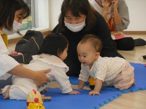 お隣の赤ちゃんと仲良く近付き合う様子