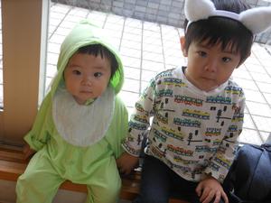 かわいく仮装した兄妹の写真