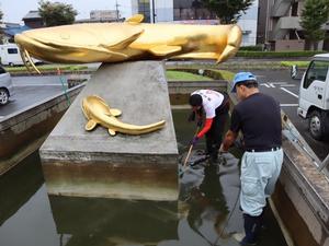 池の清掃の様子