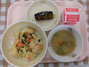 給食写真