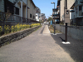 緑化団体が維持管理している花壇（平沼地区)の写真