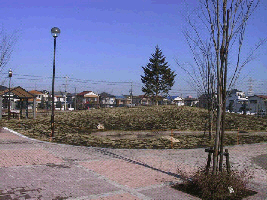 写真1　なまずの里公園