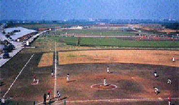 写真　県営吉川公園