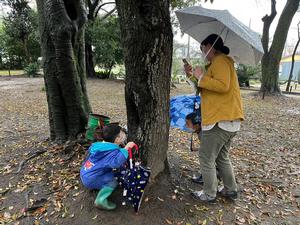 木を観察している様子