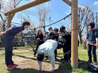 クモの巣